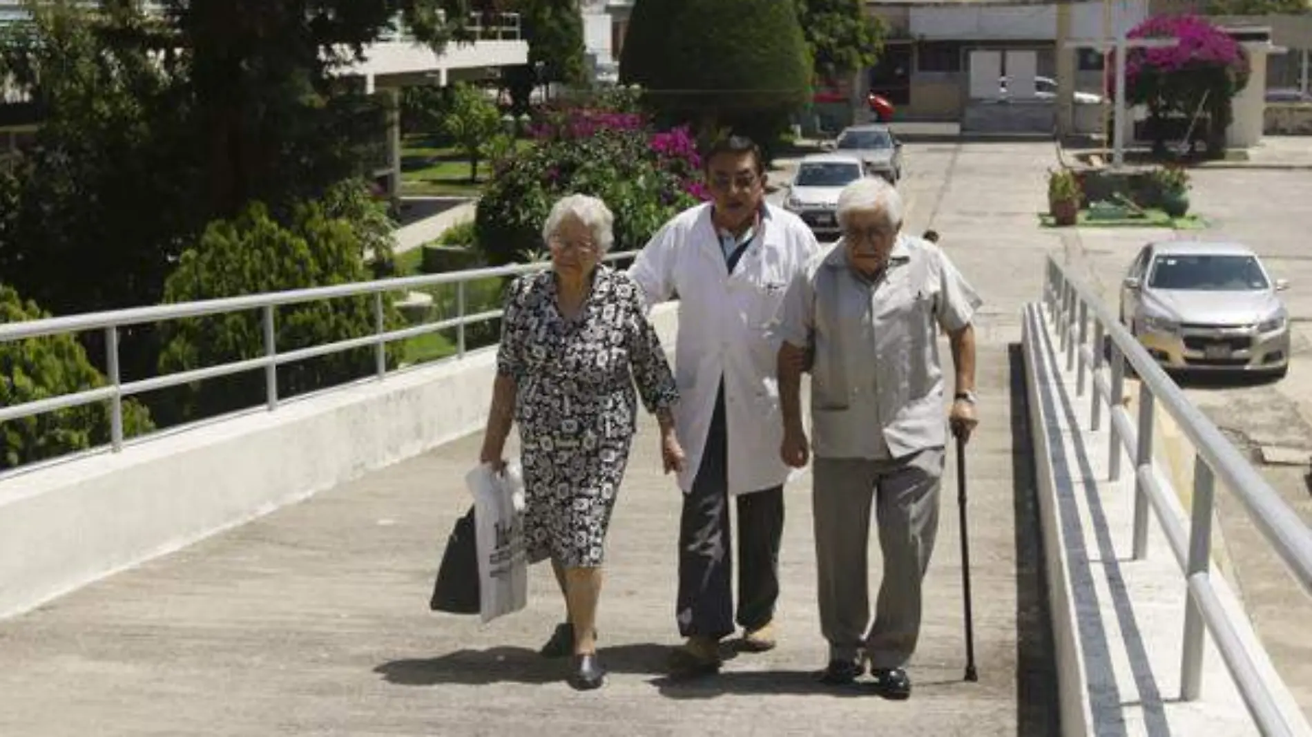 adultos mayores asilos abuelitos